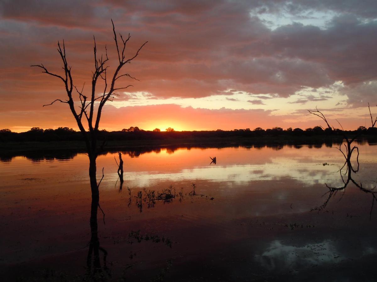 Mongena Private Game Lodge Rust de Winter Ngoại thất bức ảnh