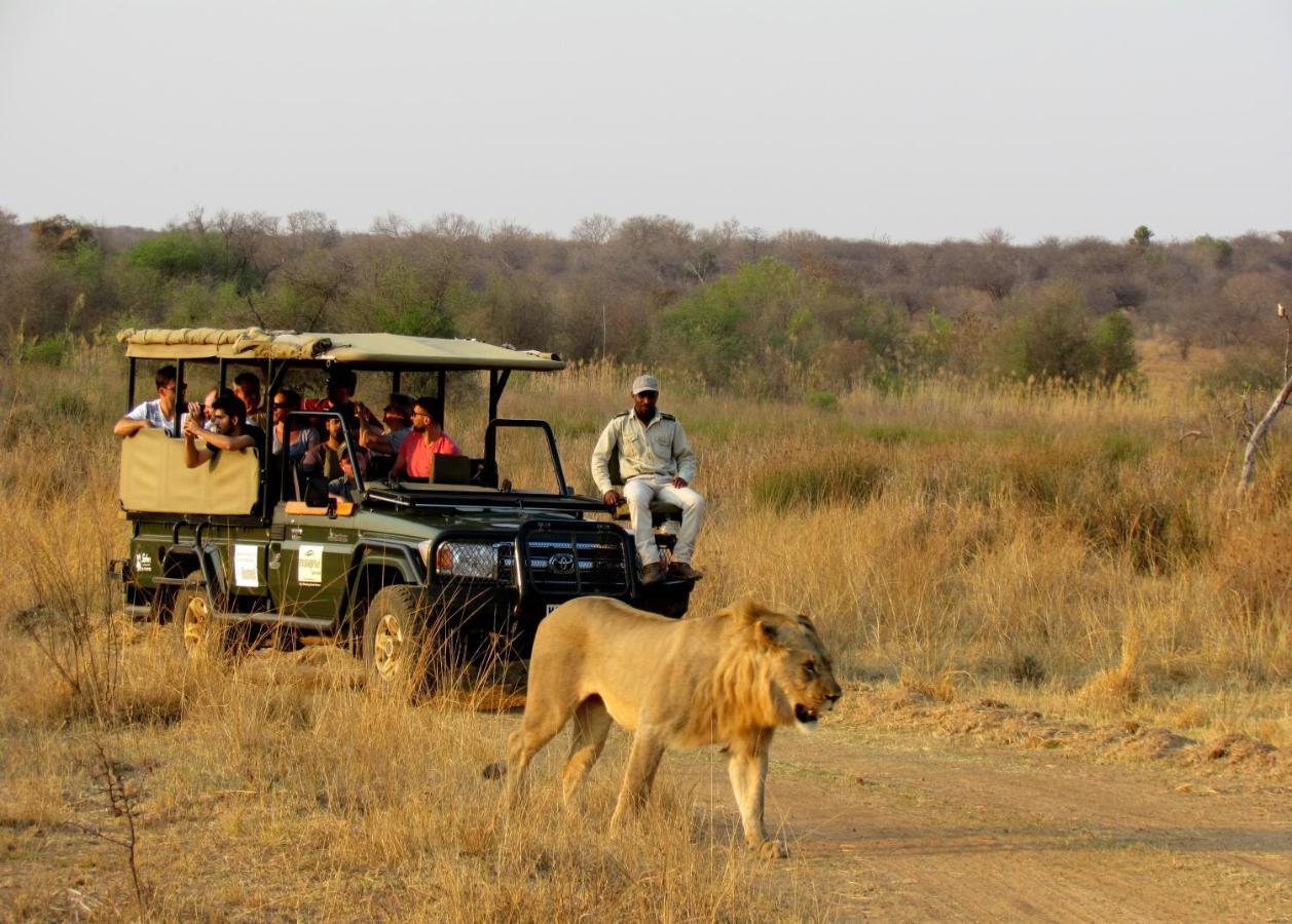 Mongena Private Game Lodge Rust de Winter Ngoại thất bức ảnh